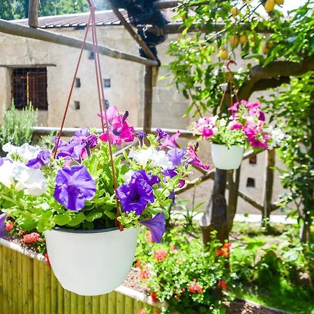 מאיורי Holiday House Ruocco מראה חיצוני תמונה