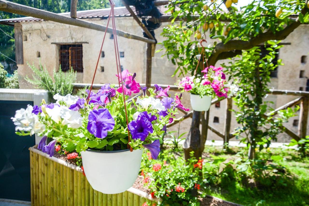 מאיורי Holiday House Ruocco מראה חיצוני תמונה